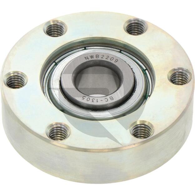 Bearing unit 1